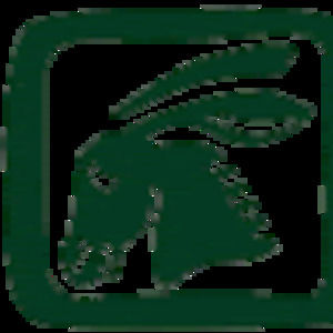 Meet your Posher, Emerson